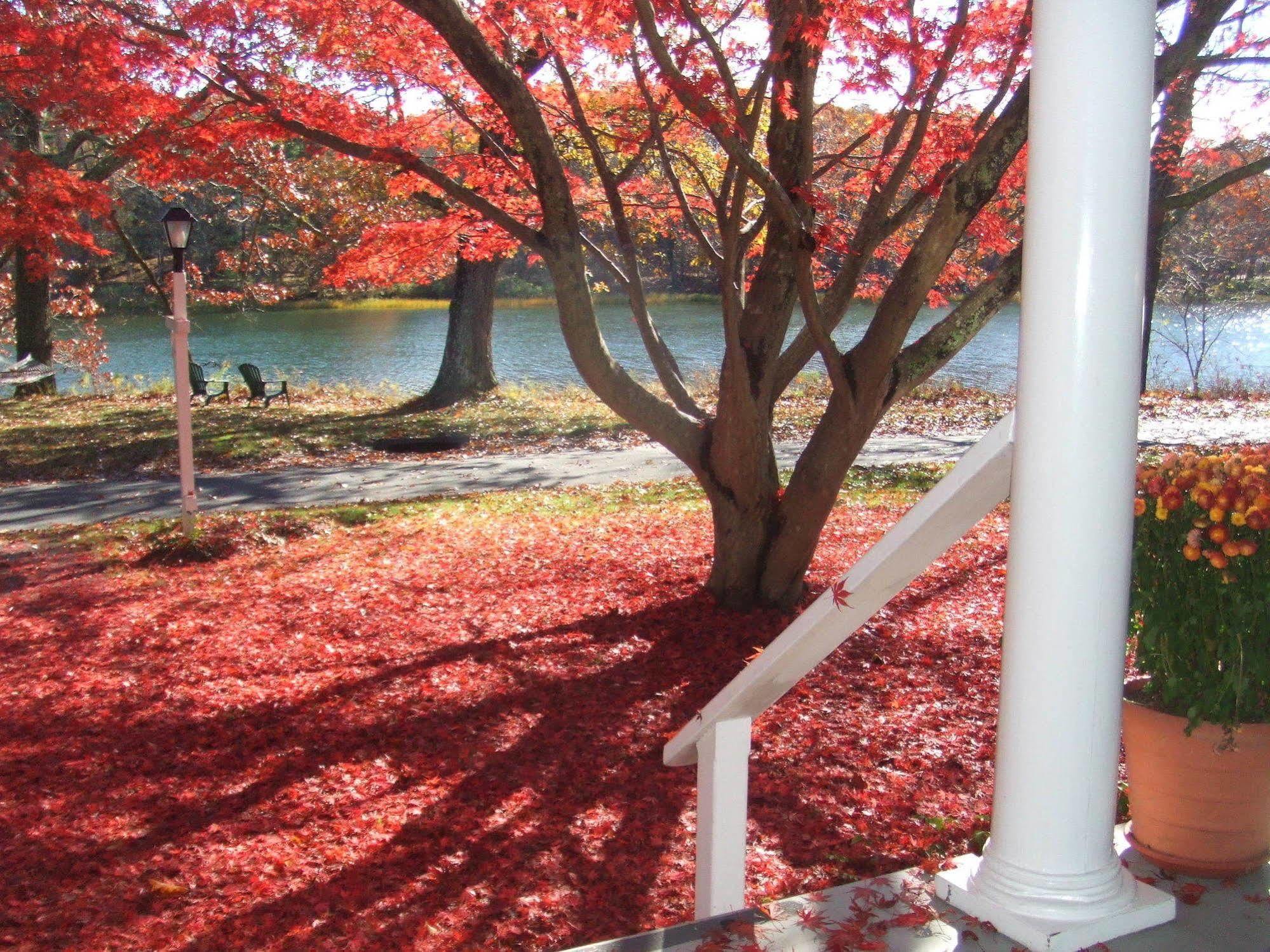 House On Chase Creek Bed & Breakfast Shelter Island Heights Luaran gambar